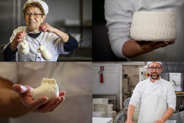 Tra mozzarelle e burrate la storia dei caseifici baresi: �Arriviamo tutti da Andria e Gioia�